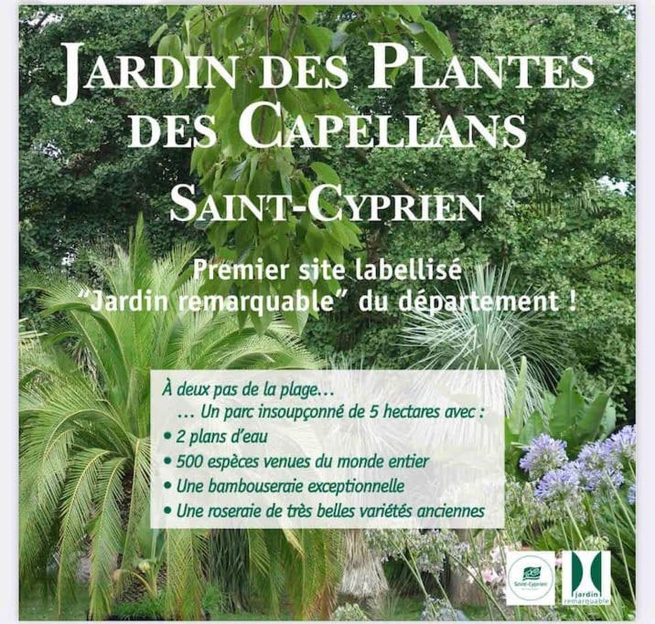 Golf Saint Cyprien Ground Floor 2 Bedrooms Apartment With Terrace エクステリア 写真